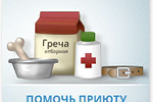 Приют для животных Бирюлево