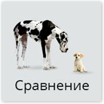 img2568644.png