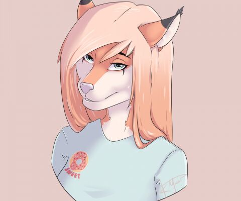 img3264054.png