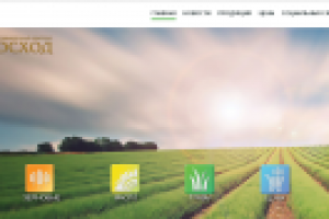 Работа 2969542