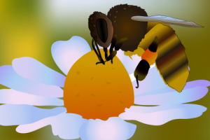 Работа 3299782