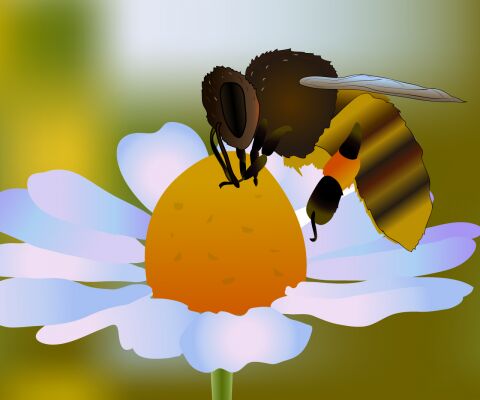 img3299782.png