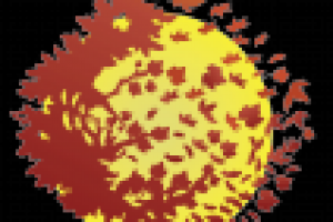 Работа 2959428