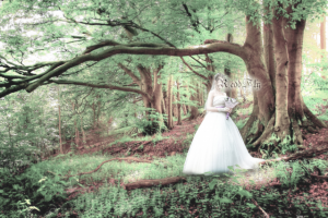 Работа 3291726