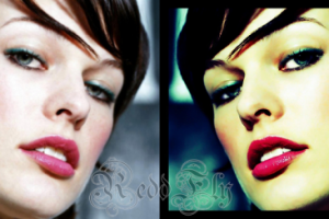 Работа 3291686