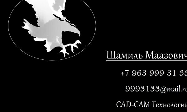 img3130431.png