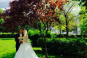 Свадебное видео