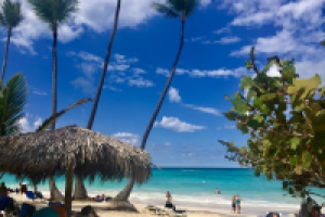 Работа 3105226