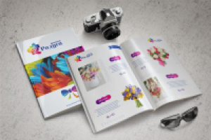 Радуга цветов