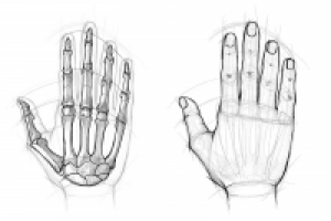 Работа 2744826