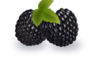 Работа 2361501