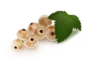 Работа 2361499