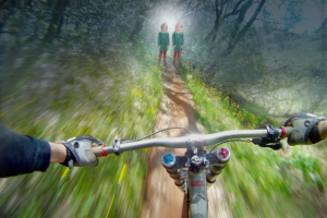 Работа 3311725