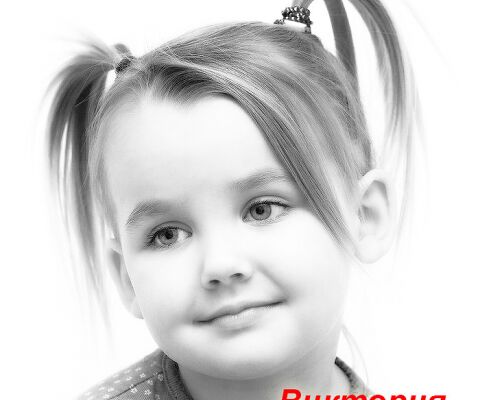 img3311721.png