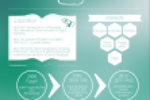 Резюме в формате инфографики