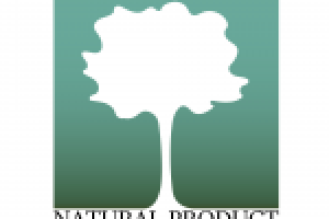 Работа 2858395