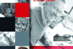 Макет лайт-бокса для Diana