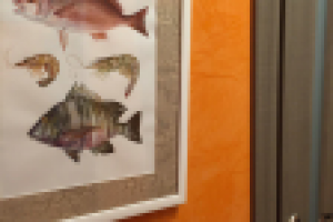 рыбы в коридоре