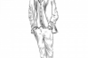 Шарж на 23 февраля