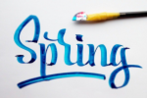 Работа 2571446