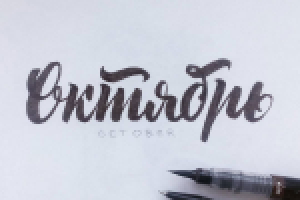 Работа 2571451