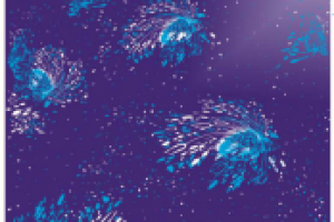 Упаковка - цветочная.