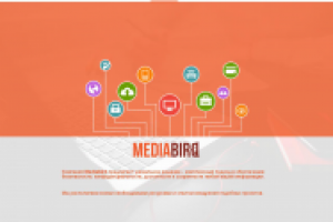 РАЗРАБОТКА САЙТА ДЛЯ КОМПАНИИ «MEDIABIRD»