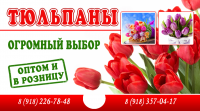 Визитка тюльпаны