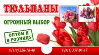 img2883493.png