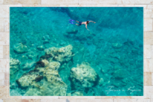 Работа 2601305