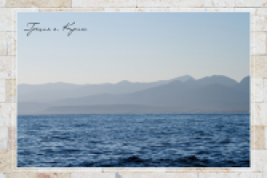 Работа 2600507