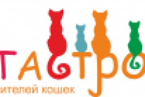 Работа 2119657