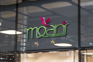 Логотип для магазина "moani"