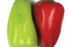 Работа 1888373