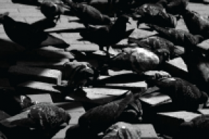 Работа 1888372