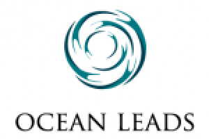 Логотип агентства интернет маркетинга