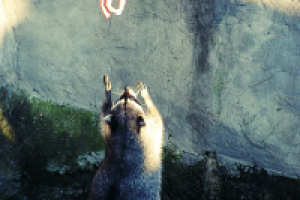 Московский зоопарк