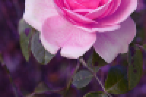 Kew Gardens, London 01