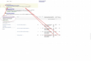 Выход в спецразмещение по цене гарантированных показов