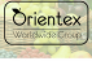 Работа 2521421