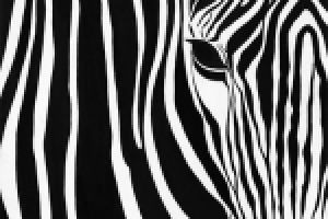 Работа 2558429