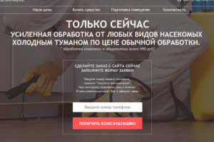 Одностраничный сайт компании уничтожения насекомых