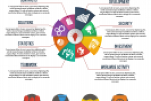 Инфографика