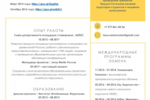 Моё резюме (пример 2)