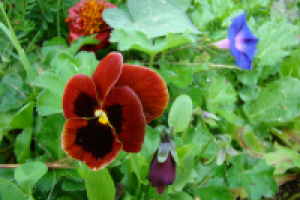 Работа 1426538