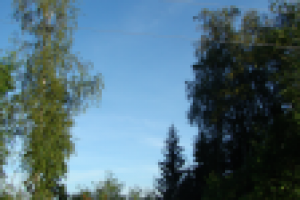 Работа 1428094