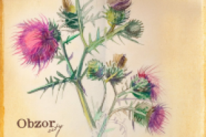 Работа 1069459