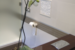 апартаменты премиум класса. Плотников переулок.