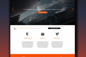 Работа 3316993