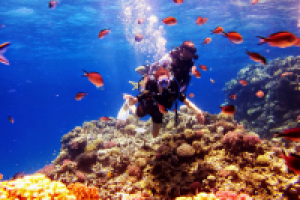 Диана и подводные обитатели